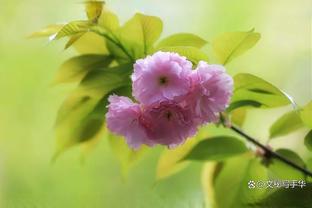 雷霆第二节仅得18分平赛季次节最低 43分为赛季上半场第二低